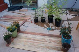 planks lined up in a courtyard, with pots resting on the end pieces
