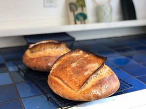 Two round loaves of bread on a blue tiled countertop