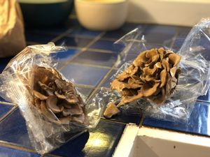 Two plastic wrappers of Brown Beech mushrooms