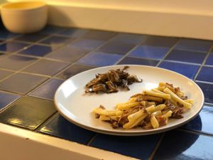A plate with sauteed Brown Beech mushrooms and pasta with pulled pork