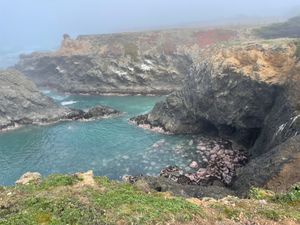 Foggy Day at the Coast