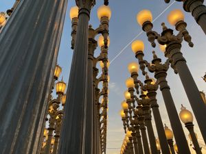 Contrail behind lamposts
